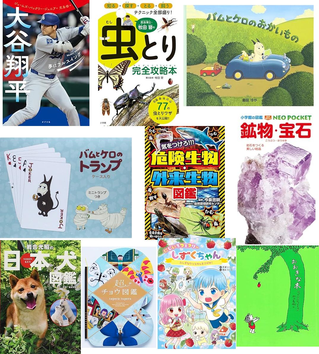 ふれあい文庫-おすすめ図書(2026)